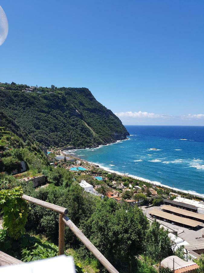 Appartamenti Su Piazza Matteotti Forio Centralissimi Exteriér fotografie